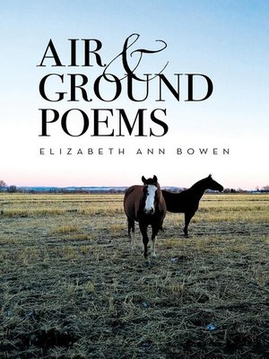 cover image of Air and Ground Poems